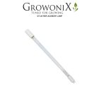 UV-LB-Replacement Lamp