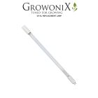 UV-XL-Replacement Lamp